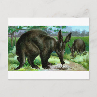 Postal Aardvark