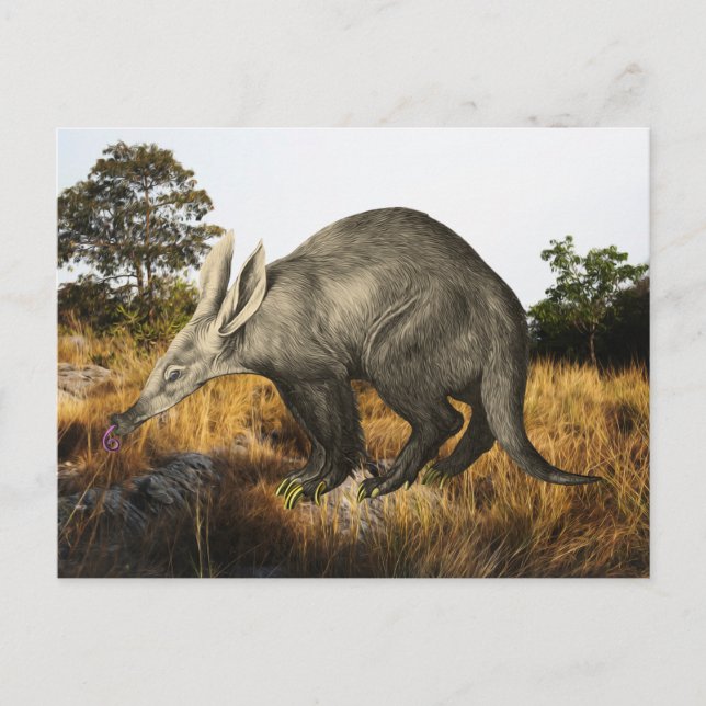 Postal Aardvark (Anverso)