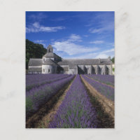 Abadía de Senanque, Gordes, Vaucluse, Provence,