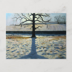 Postal Abadía de Tree and Shadow Calke Derbyshire