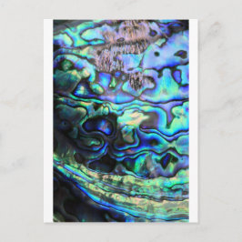 Postal Abalone paua shell