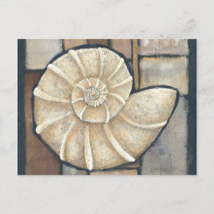 Postal Abalone Shell
