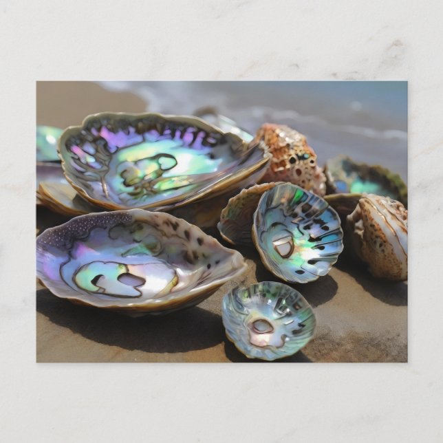 Postal Abalone Shells en la playa (Anverso)
