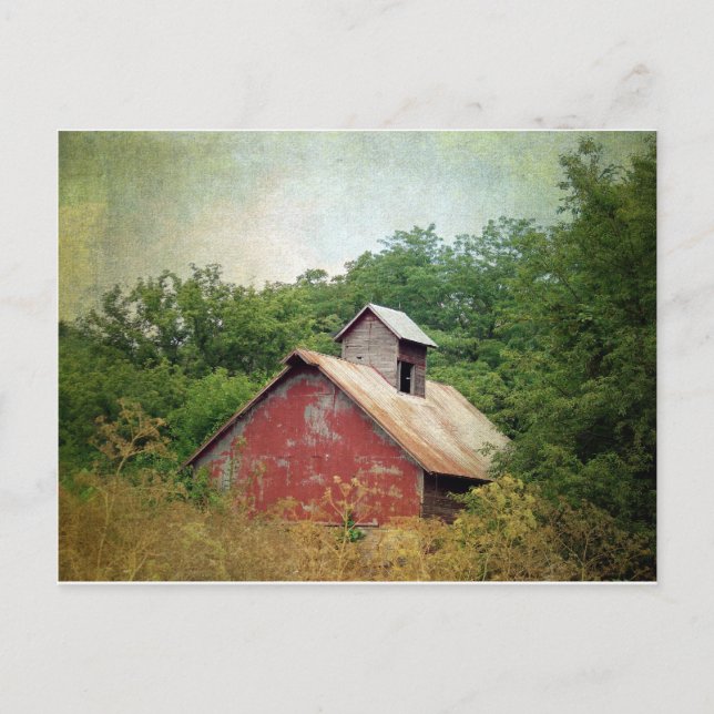 Postal Abandonados y sobrepoblados (Anverso)