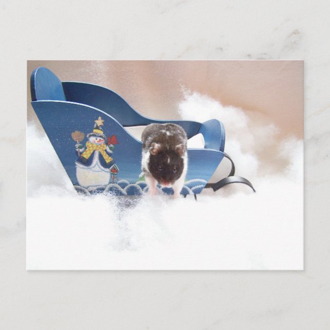 Postal ¡¡abandonen a sled!! (Anverso)