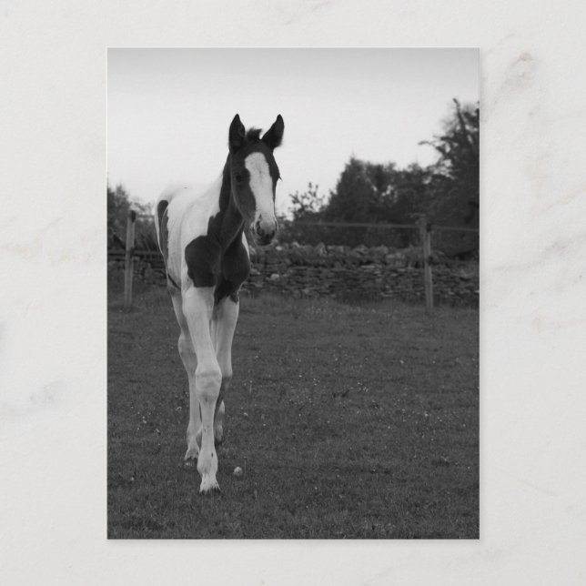 Postal abatimiento (Anverso)