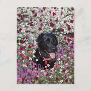 Postal Abby en flores - perro del laboratorio negro