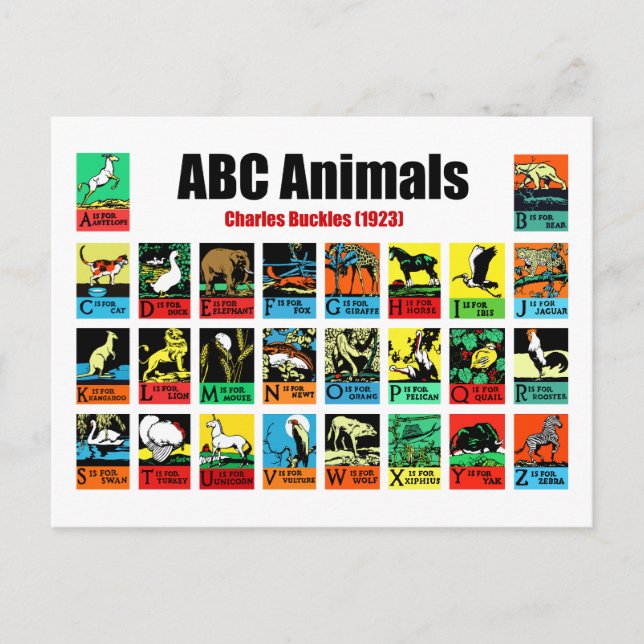 Postal ABC Animals , Charles Buckles (1923) (Anverso)