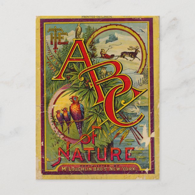 Postal ABC de la Naturaleza (Anverso)