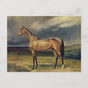 Postal Abdul Medschid' el caballo árabe de castaño, 1855