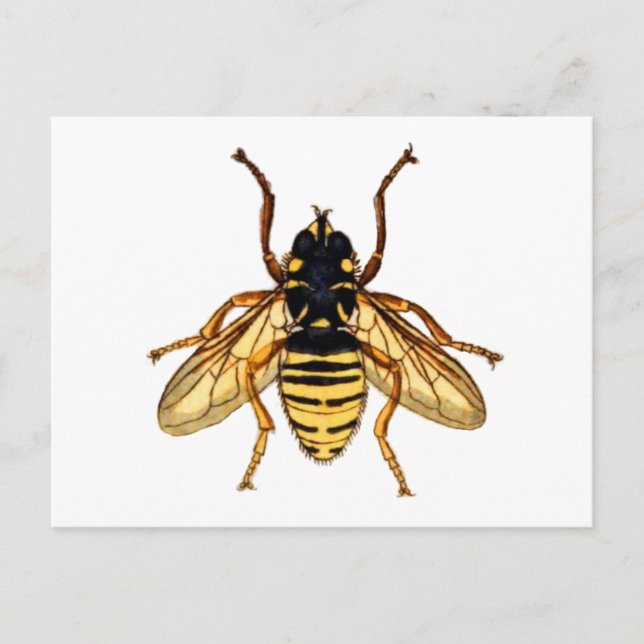 Postal Abeja amarilla vintage (Anverso)