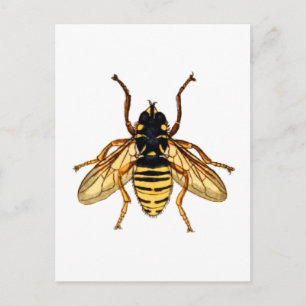Postal Abeja amarilla vintage