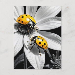 Postal Abeja Amarillo De Ladybugs Sobre Flor Blanca Negra