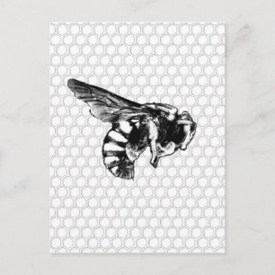 Postal Abeja blanca y negra