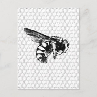 Postal Abeja blanca y negra