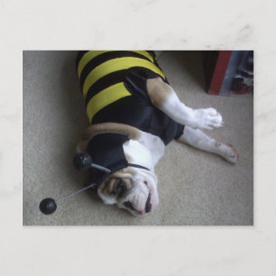 Postal abeja de bulldog