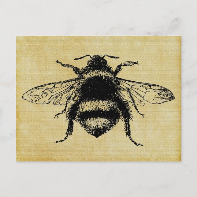 Postal Abeja de burbujas de época (Anverso)