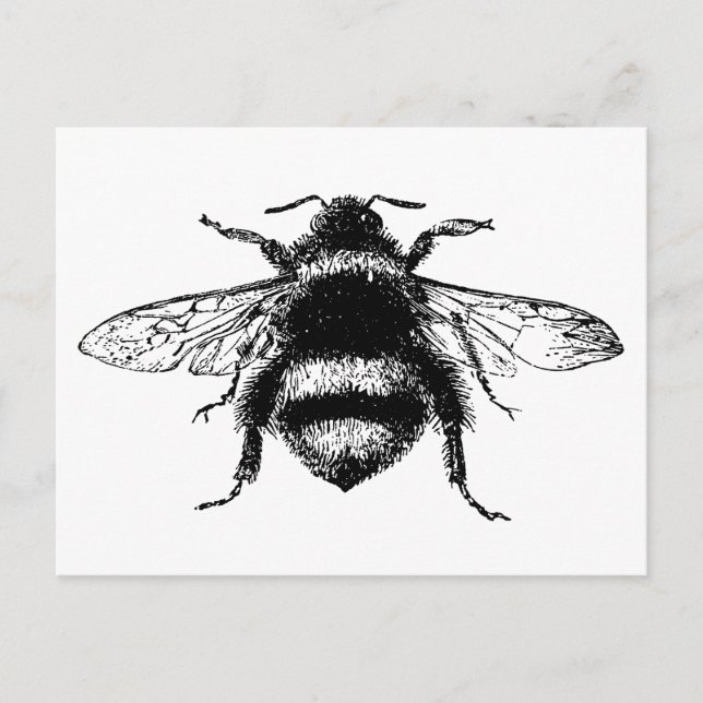 Postal Abeja de burbujas de época (Anverso)
