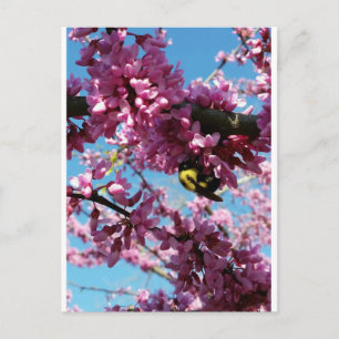 Postal Abeja de burbujas en árbol Redbud