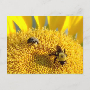 Postal Abeja de burbujas y miel