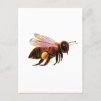 Abeja de miel con sus cestas de polen