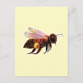 Postal Abeja de miel con sus cestas de polen