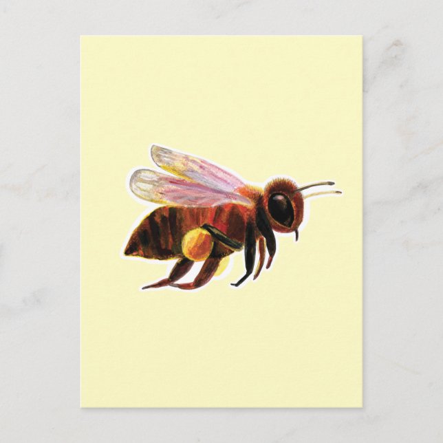Postal Abeja de miel con sus cestas de polen (Anverso)