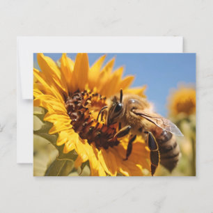 Postal Abeja de miel que poliniza el girasol