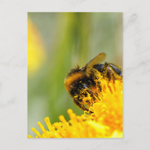 Postal Abeja de miel y polen