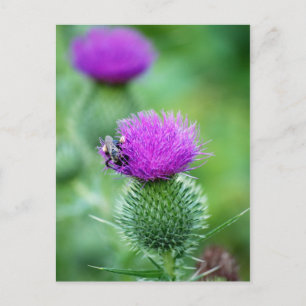 Postal Abeja de miel y silbato