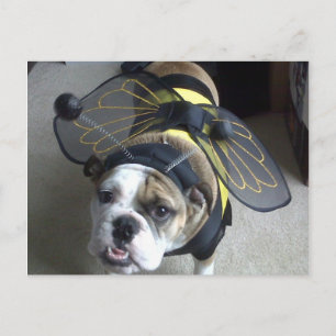 Postal Abeja del bulldog