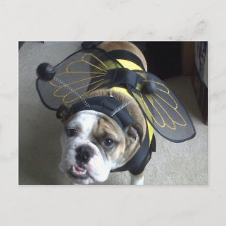 Postal Abeja del bulldog