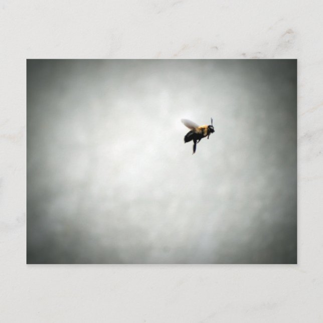 Postal abeja en vuelo (Anverso)