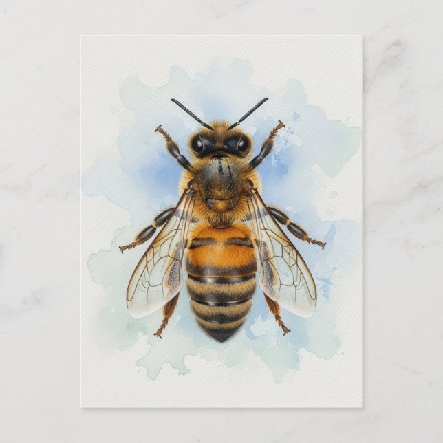 Postal Abeja melífera – Guardián de acuarela (Anverso)
