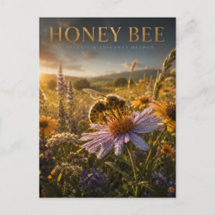 Postal Abeja Melífera Pradera de Flores Silvestres ANIMAL