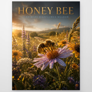 Postal Abeja Melífera Pradera de Flores Silvestres ANIMAL