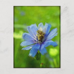 Postal Abeja ocupada