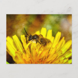 Postal Abeja pequeña