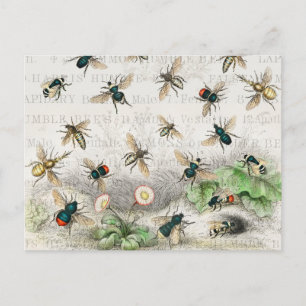 Postal Abeja Reina Entomología Botánica Vintage