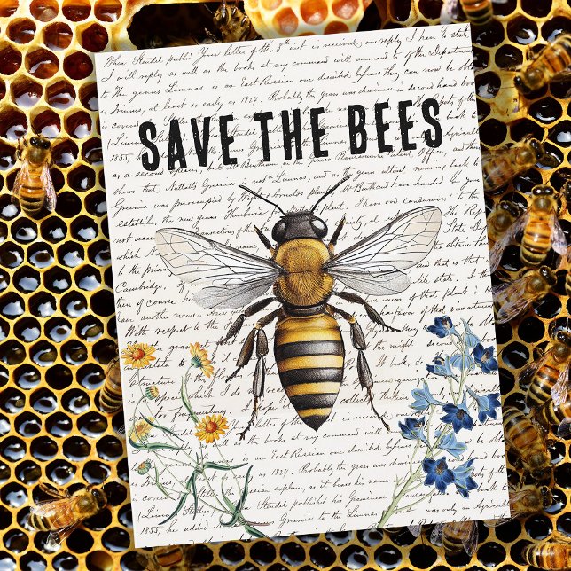 Postal Abeja salva las flores del guión de las abejas (Subido por el creador)