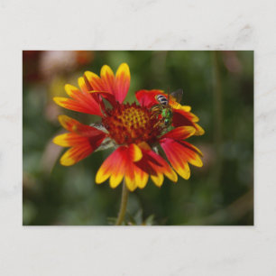 Postal Abeja Verde