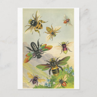 Postal Abejas