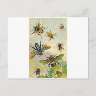 Postal Abejas