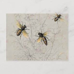 Postal Abejas