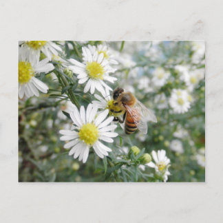 Postal Abejas Abejas Abejas Flores Silvestres Flores Dais