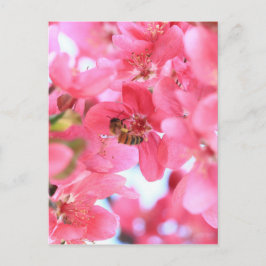 Postal Abejas de crabapple 2
