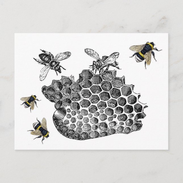 Postal Abejas del vintage (Anverso)