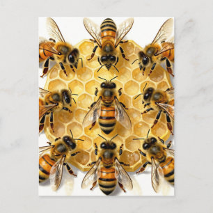 Postal Abejas en Círculo de Panal Hexagonal