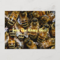 Abejas en la colmena