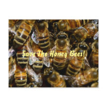 Abejas en la colmena